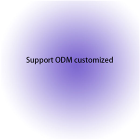 support ODM customized Walkie talkie RADIO